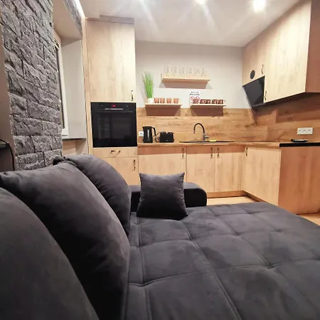 Rynek 23 Lux, Z Widokiem Na Ratusz , Parking Free Pod Domem Gliwice