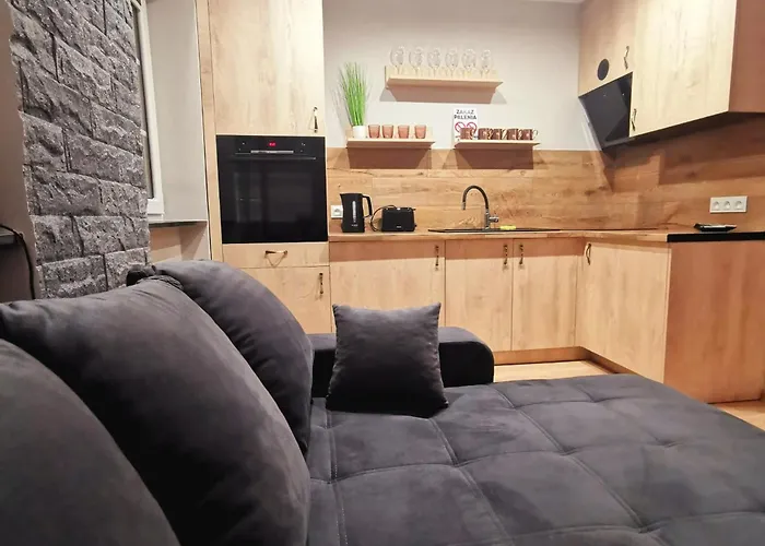 Rynek 23 Lux, Z Widokiem Na Ratusz , Parking Free Pod Domem Gliwice